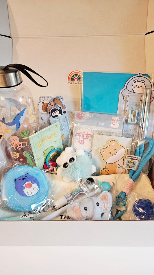 💙 Ocean Blue Box